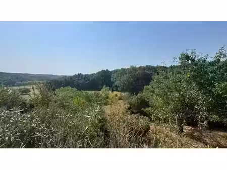 vente de terrain à estillac (47)