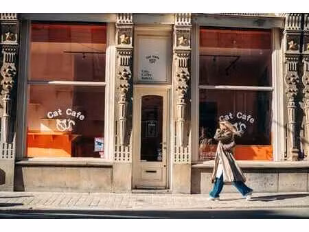 cat café anvers | fonds de commerce à vendre
