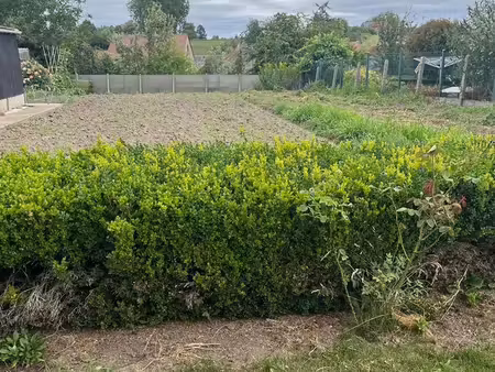 terrain à vendre à oplinter € 135.000 (lq3da) - b-living vastgoed & advies | zimmo