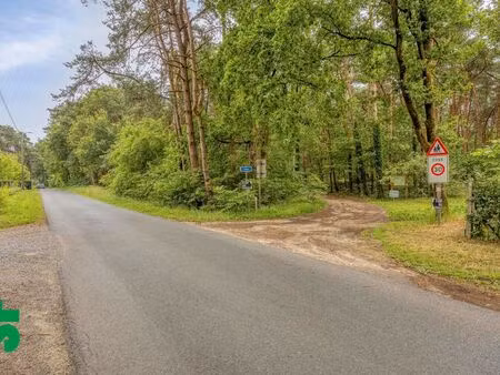 terrain à vendre à balen € 33.500 (lq32x) - kantoor geel | zimmo