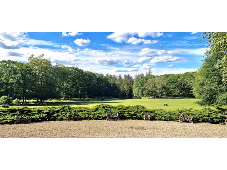 château à vendre à lamotte-beuvron