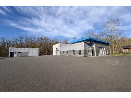 location local professionnel 642m² saran 45770