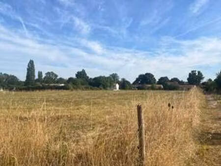 vente terrain à saint-loup (17380) : à vendre / 4992m² saint-loup