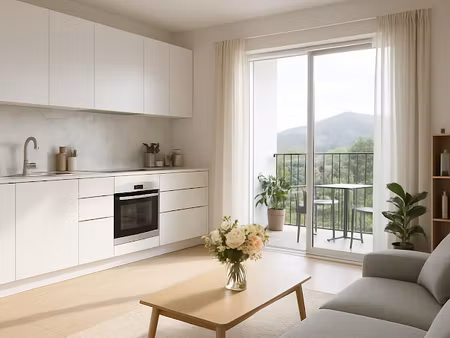 vente appartement 2 pièces 42 m² à palasca (20226)  226 138 €