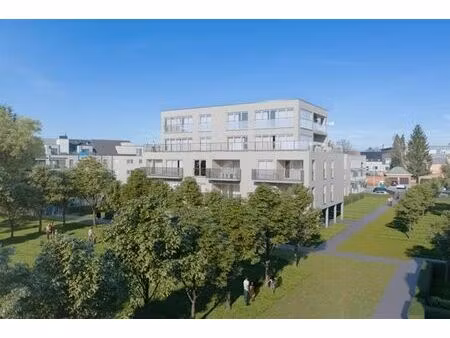 appartement à louer à schansstraat 26 mol (rbw40775)