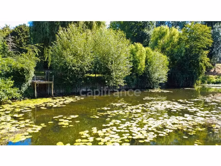 vente maison 4588 m² montbizot (72380)
