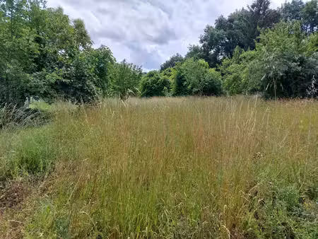 vente terrain 1400 m² verdun-sur-garonne (82600)