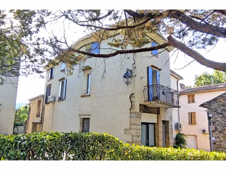 maison de village + local commercial