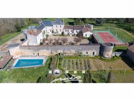 château roches-prémarie-andillé (86)