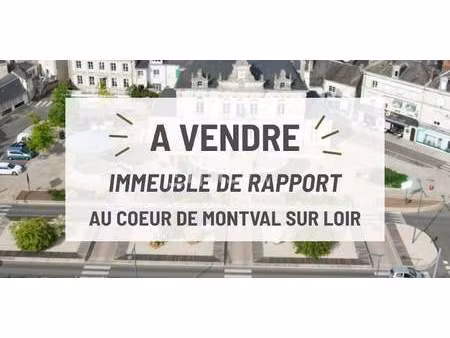 propriété nogent-sur-loir (72)