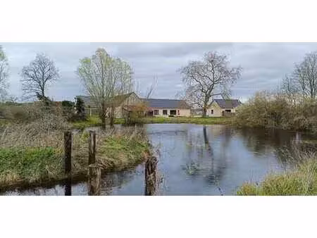 propriété avec piscine pruniers-en-sologne (41)