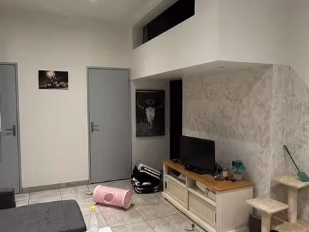 appartement st romain le puy