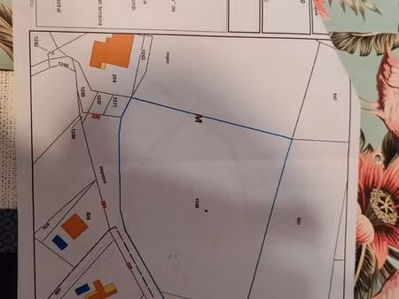 ventes terrain agricole