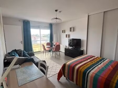 appartement meuble renove lille sud