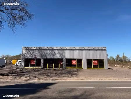 local professionnel de 240 m² – disponible immédiatement