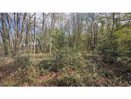 vente terrain 775 m² à bois-le-roi (77590)  9 990 €