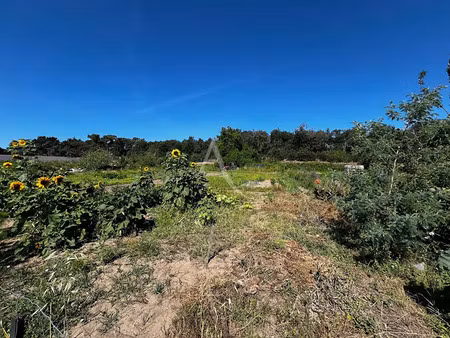 vente terrain 1004 m² à longeville-sur-mer (85560)  22 000 €