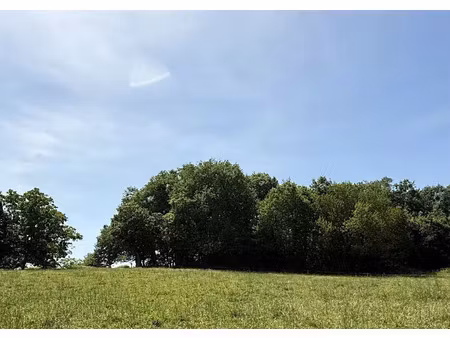 vente terrain 1595 m² à meyrals (24220)  15 000 €