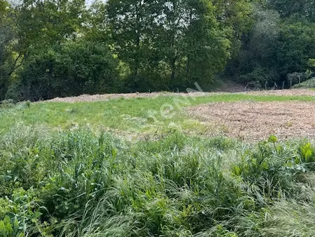 vente terrain 1169 m² à nogent-sur-loir (72500)  18 500 €