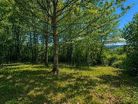vente terrain 1700 m² à agonac (24460)  42 000 €