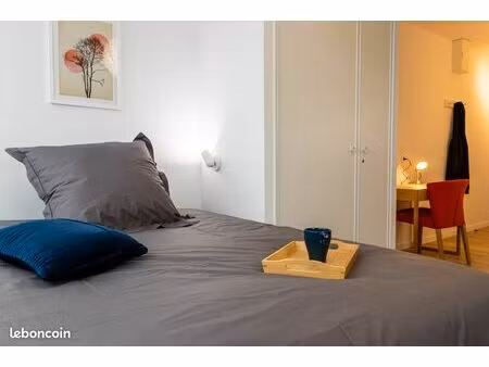 studio 1 pièce 21 m²