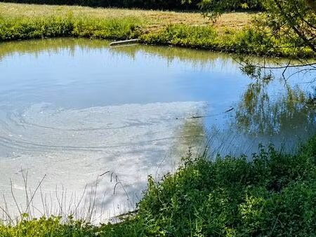 investissement patrimonial rare – propriété de charme sur 8 500 m² – piscine – lac privé –