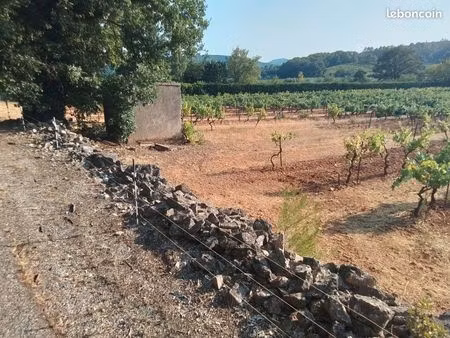 vignes ou terrain de loisir