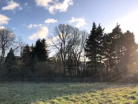 vente terrain 950 m² à pruillé-le-chétif (72700)  62 000 €