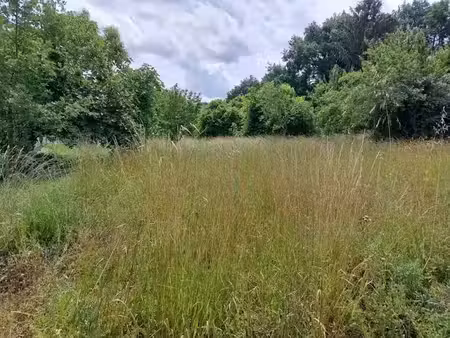 vente terrain 1400 m² à verdun-sur-garonne (82600)  60 500 €