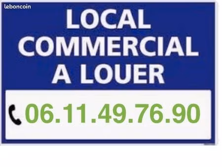 local 55 m²