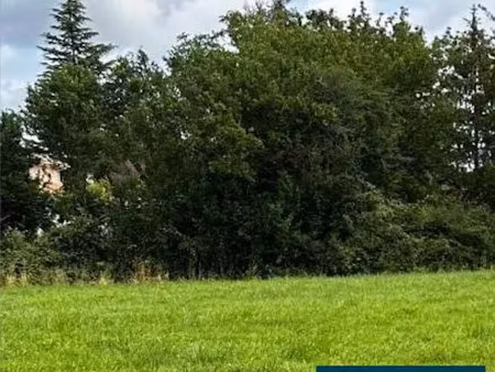 vente terrain 1200 m² à pineuilh (33220)  49 000 €