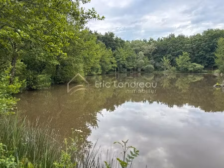 vente terrain 13500 m² à poiroux (85440)  72 900 €