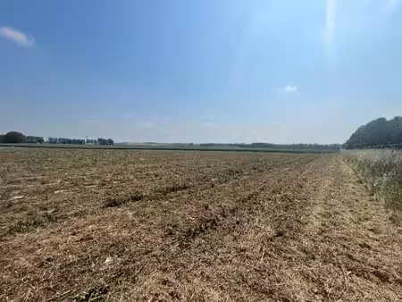 vente terrain 444 m² à thélus (62580)  76 900 €