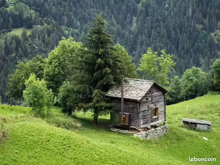 maisonnette avec terrain