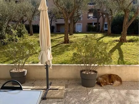 bel appartement t2 en rdc avec terrasse au calme