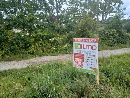 vente terrain 408 m² à palluau (85670)  53 000 €