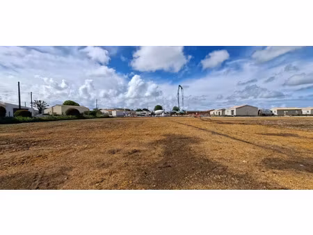 vente terrain 241 m² à saint-georges-de-didonne (17110)  54 000 €