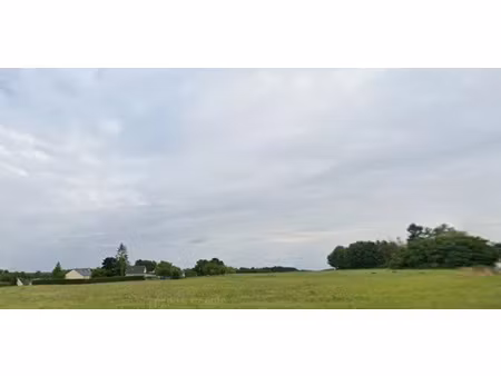vente terrain 580 m² à beaumont-la-ronce (37360)  58 500 €