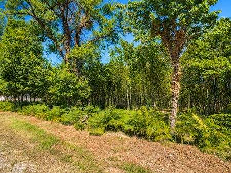 vente terrain 3230 m² à boulazac isle manoire (24750)  65 000 €