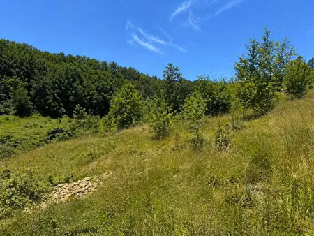 vente terrain 1600 m² à trélissac (24750)  65 000 €