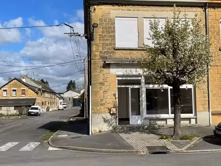 local commercial (espace de vente  remise  cave)