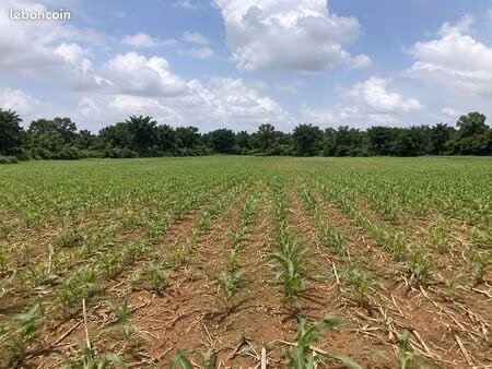 recherche terrain agricole