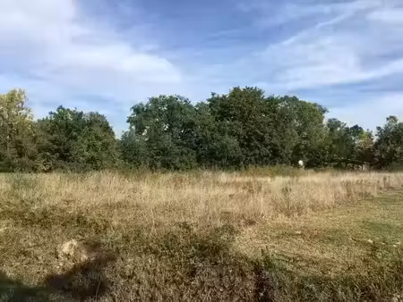 vente terrain 1355 m² à beaufort (31370)  74 000 €