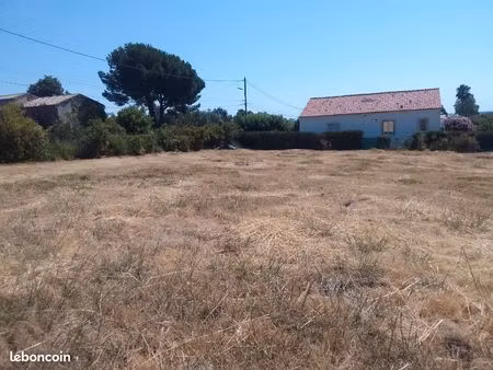 terrain corse