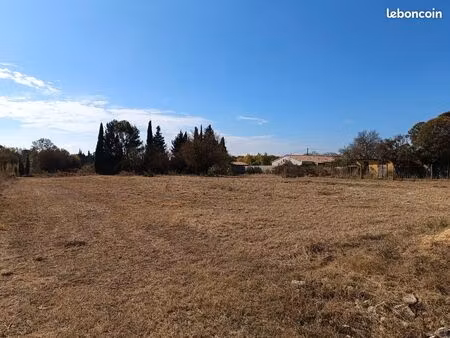 terrain constructible