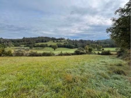cherche terrain... secteur massiac