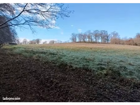 terrain