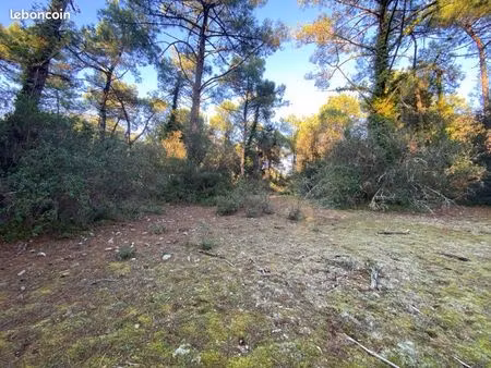 lot de 5 parcelles à bois plage en ré