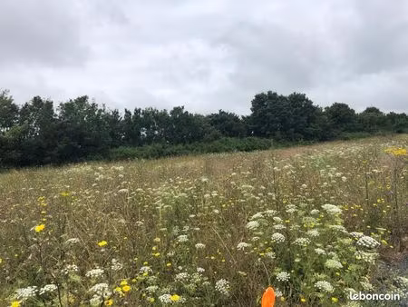 terrain 245 m² saint nazaire sur charente