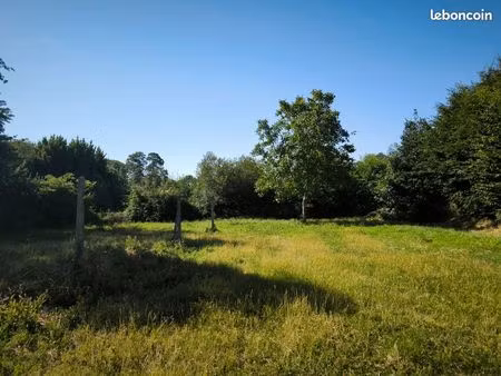 terrain constructible